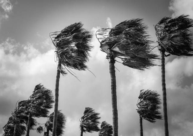 Storm Preppers - How to Prepare for the 2019 Hurricane Season - Updated