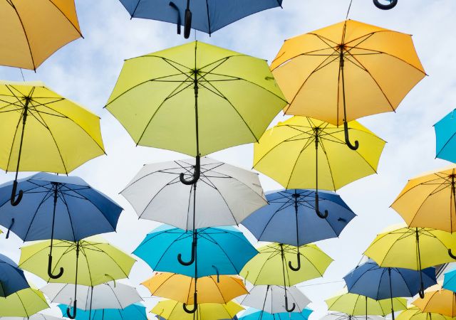Storm Preppers - Tropical Storm Preparation Blogs - NEW