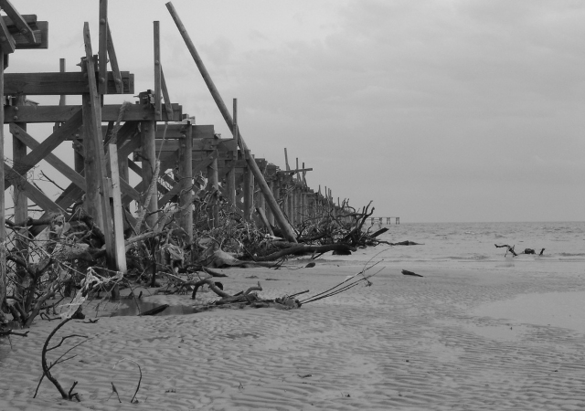Storm Preppers - Quotes About Tropical Storms and Hurricanes