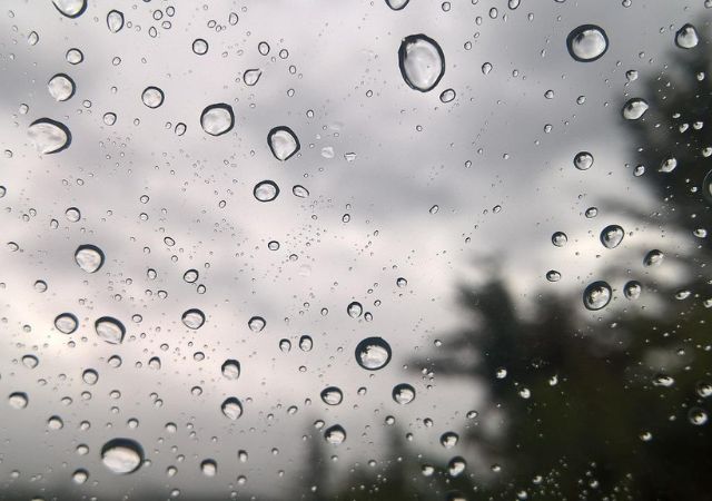 Storm Preppers - How to Protect Windows and Doors Against Tropical Storms
