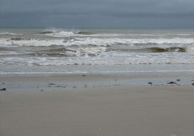 Storm Preppers - Hurricane Agatha Makes Historic Landfall in Mexico
